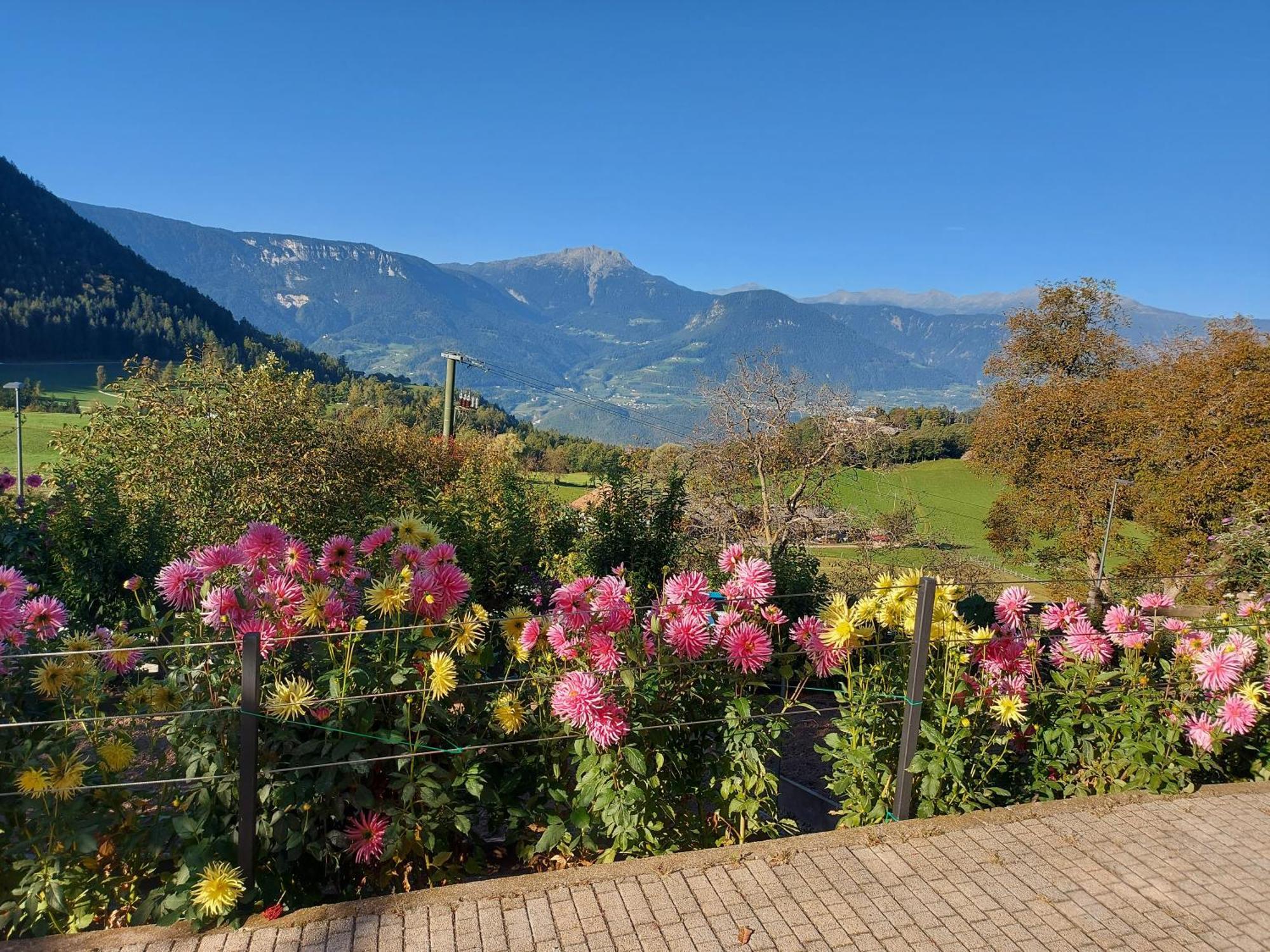 Alpenrose Apartment Meltina Exterior foto